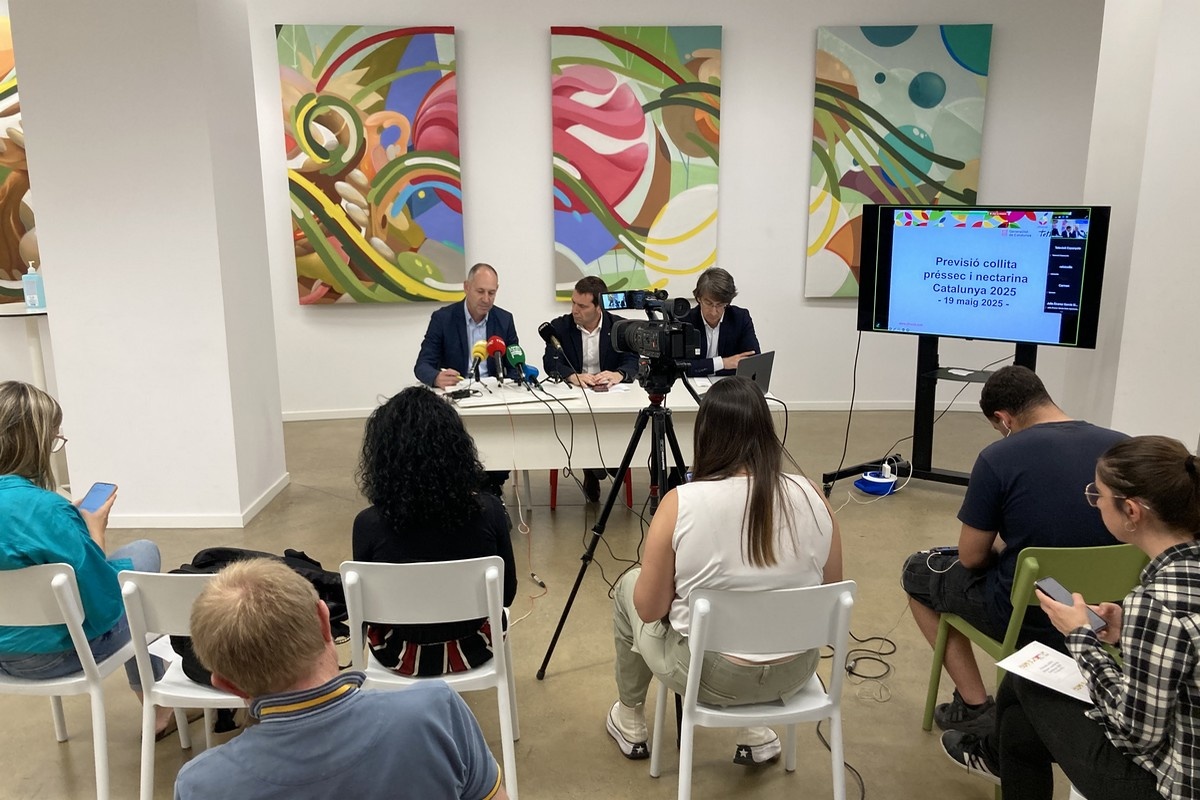 Catalaanse steenfruitoogst herstelt zich