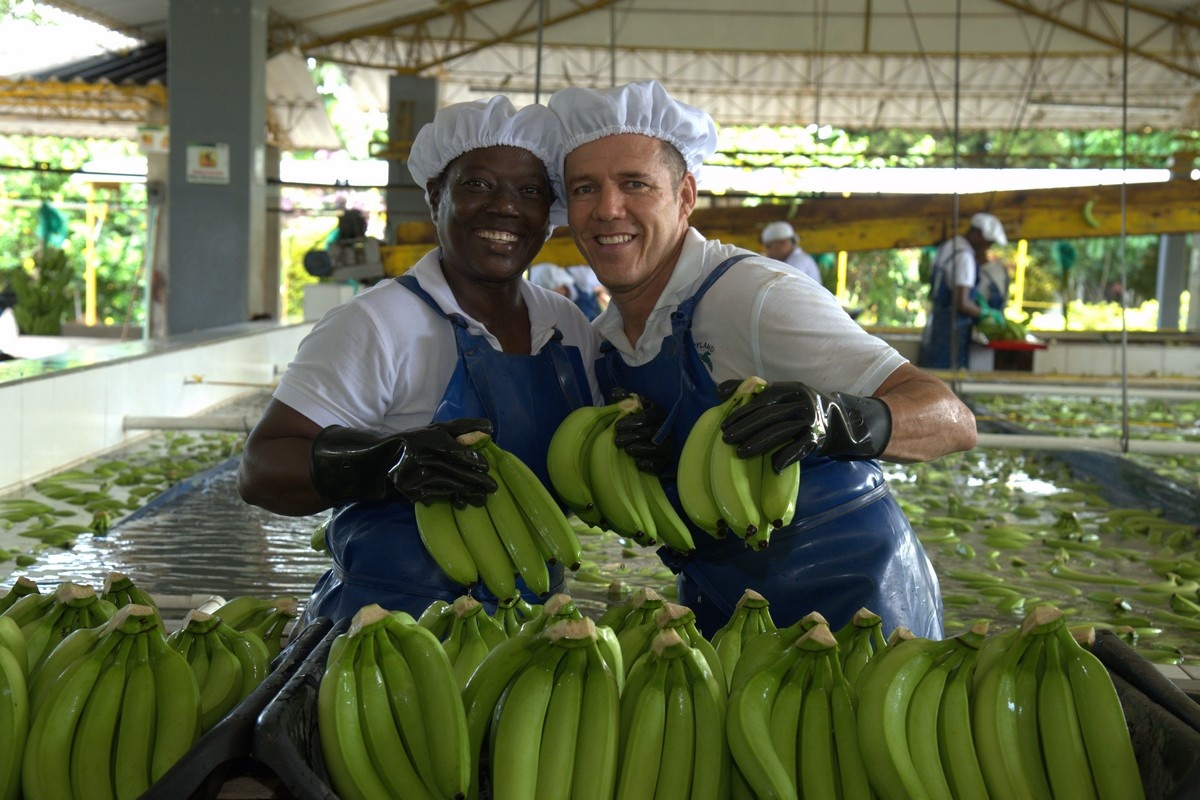 "Het is tijd dat de banaan niet langer het goedkoopste fruit in de supermarkt is"