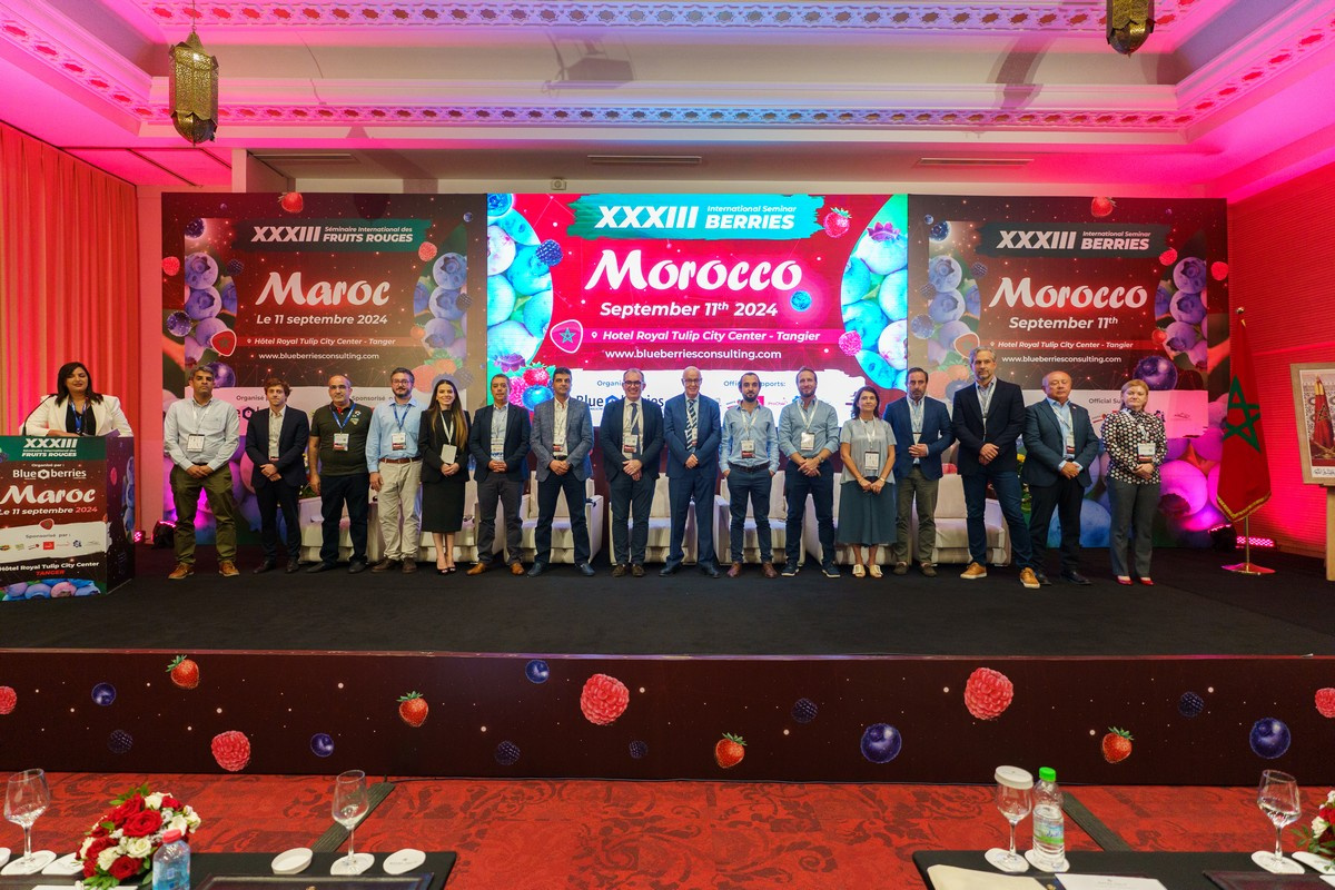 Marokko trekt investeringen in zachtfruitteelt aan