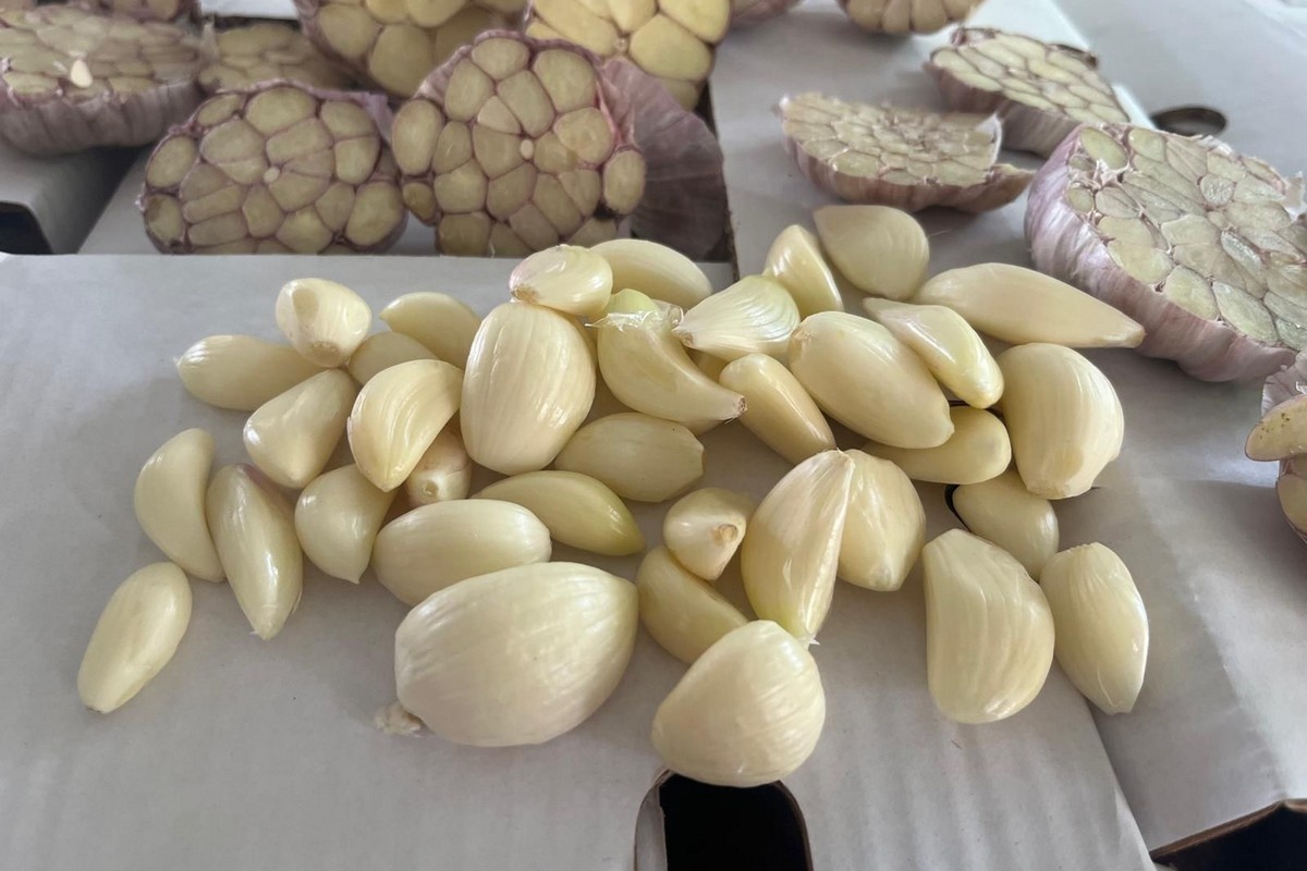 Peruaanse avocado's, knoflook en limes zoeken hun weg in markt gedomineerd door Mexico en China