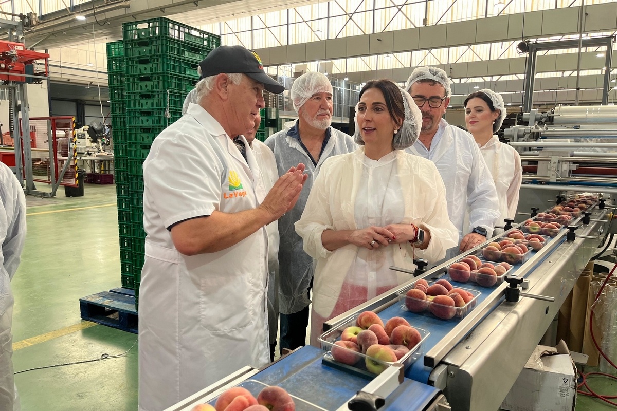 Steenfruitoogst Murcia overschrijdt 350.000 ton