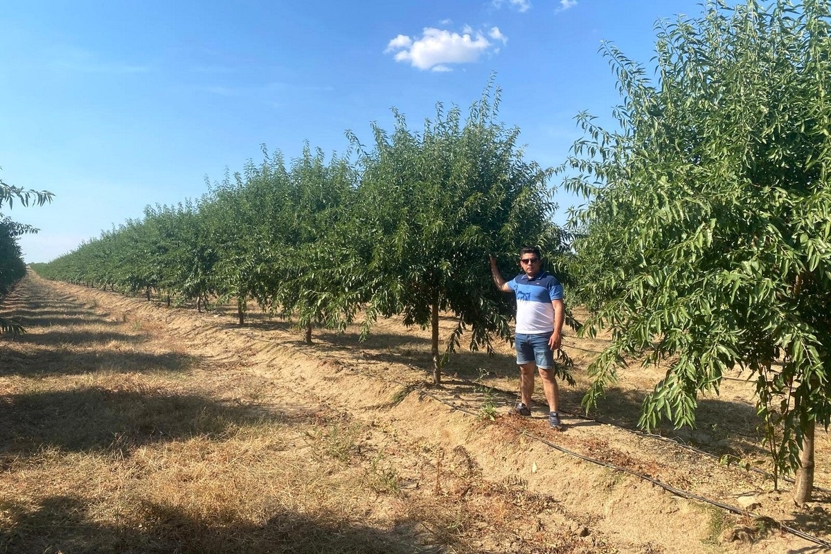 Warme winters maken het fruittelers lastig aan Spaanse oostkust