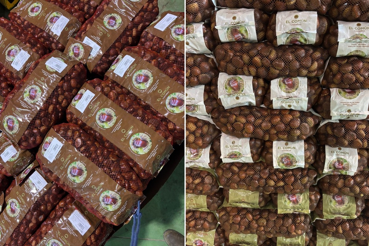 Mislukte oogst voor Spaanse kastanjes