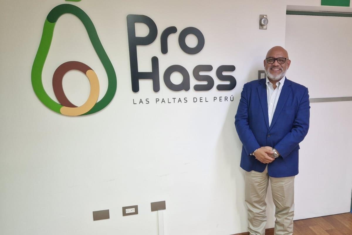 In de zomermaanden levert Peru 78% van de Europese Hass avocadoconsumptie