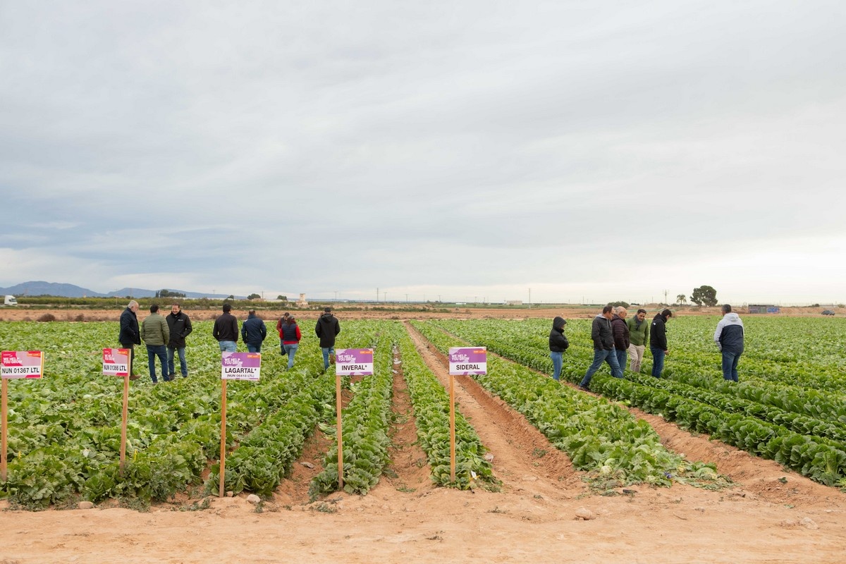 Resistentieveredeling wordt sleutel door wegvallen van gewasbeschermingsmiddelen