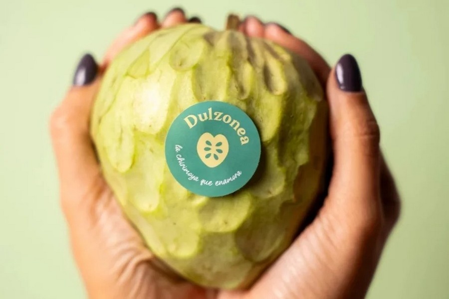 Vraag naar cherimoya blijft elk jaar een beetje groeien