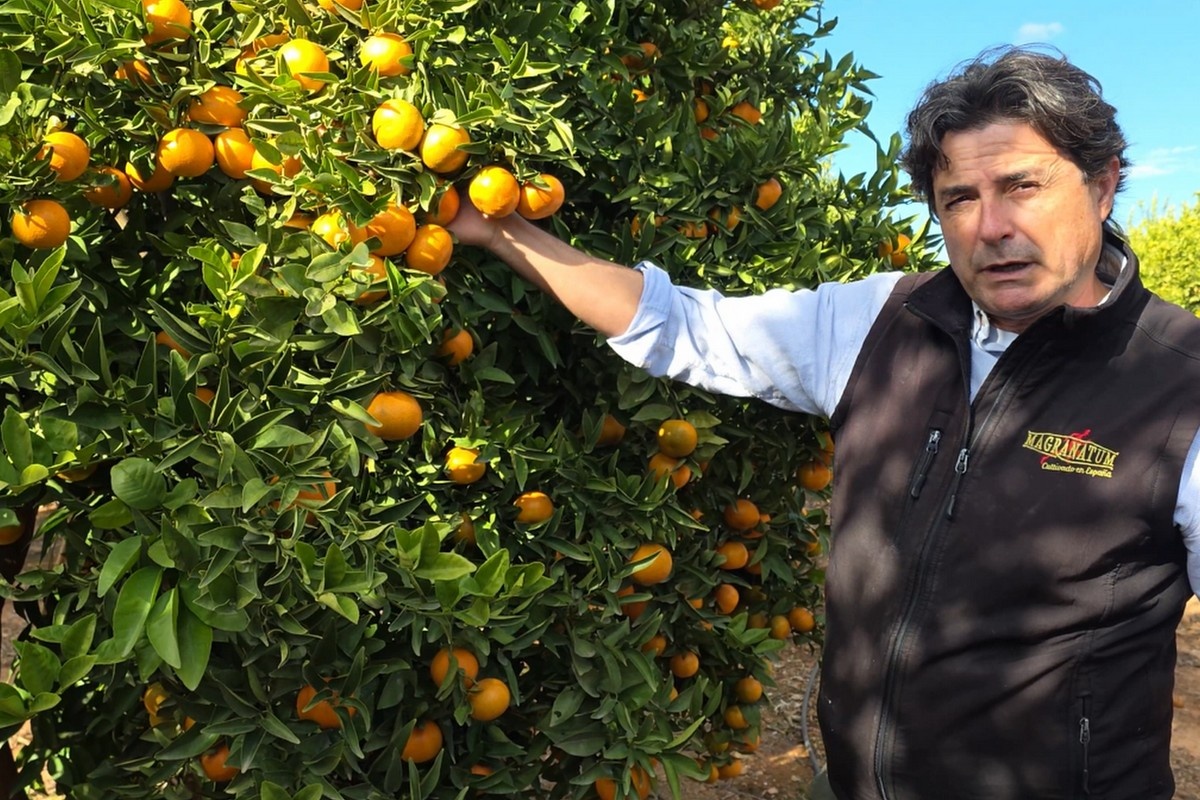 Valley Gold wint terrein in Spanje als alternatief voor probleemrassen