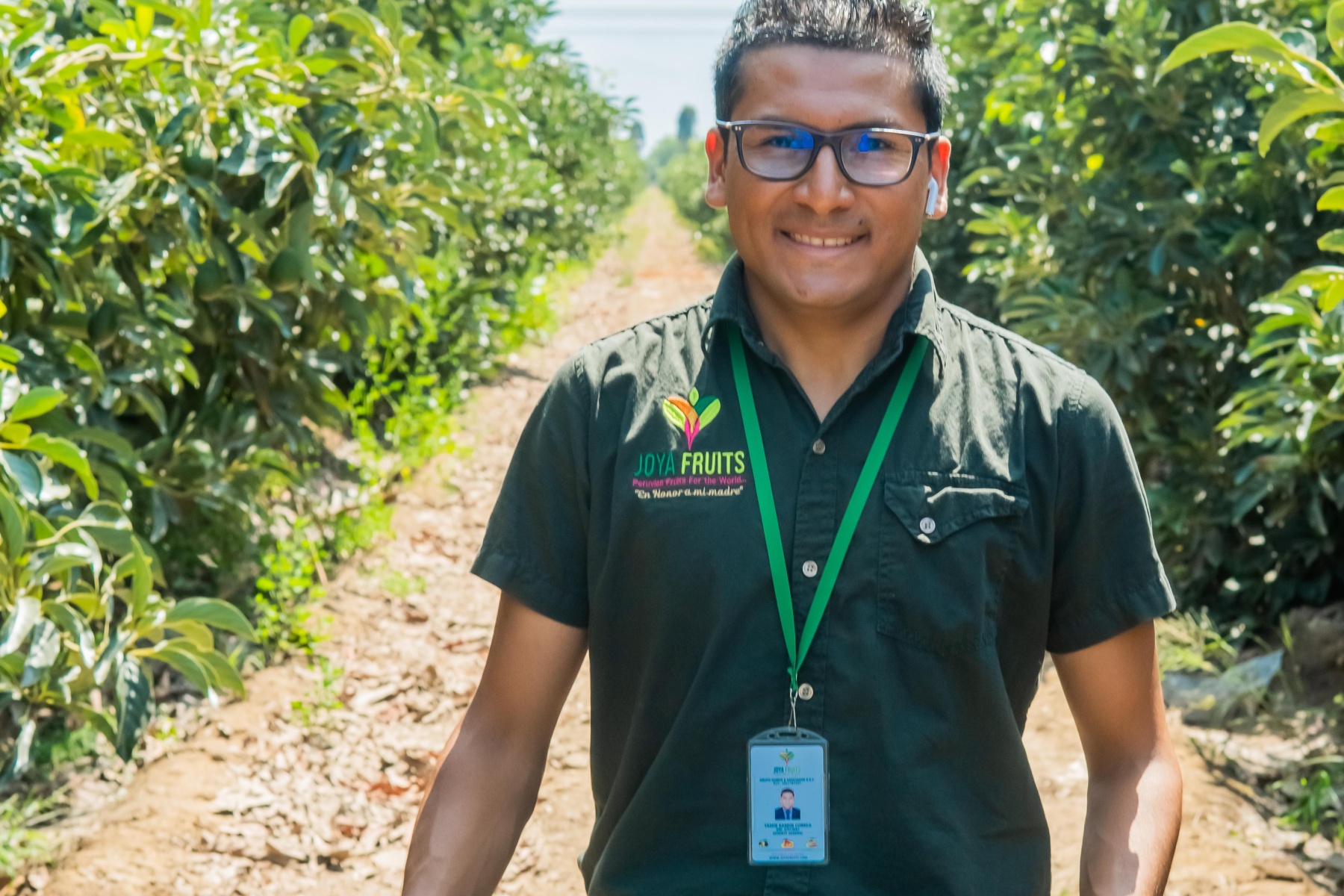 "Onze belangrijkste markten voor avocado blijven Nederland en Spanje"