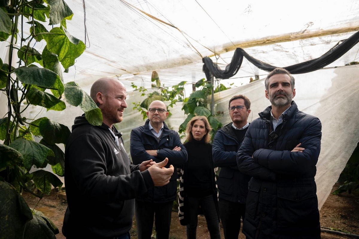 Andalusië keert €37,6 miljoen uit aan telers getroffen door DANA eind 2024