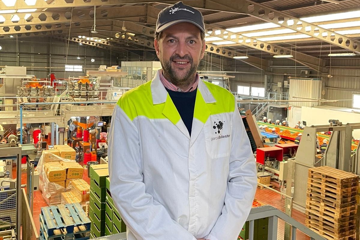 Aanhoudende regen verkort clementineseizoen