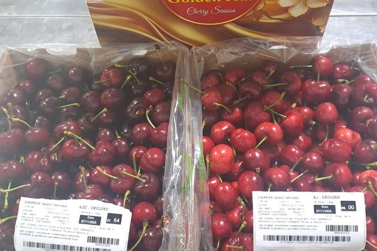 Minder sterke Chinese economie raakt Chileense kersenexport