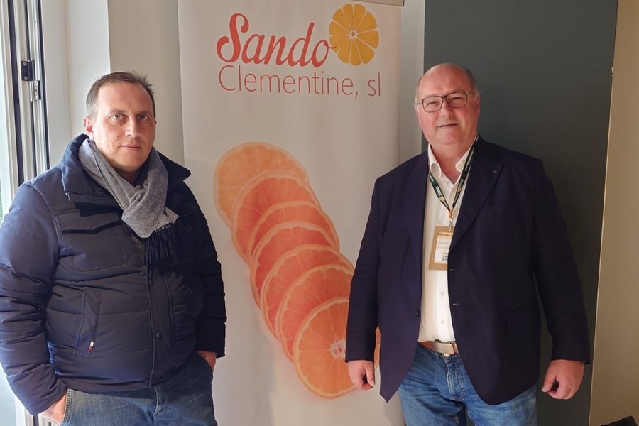 Later Italiaans clementinevenster kan EU-markt aanvullen