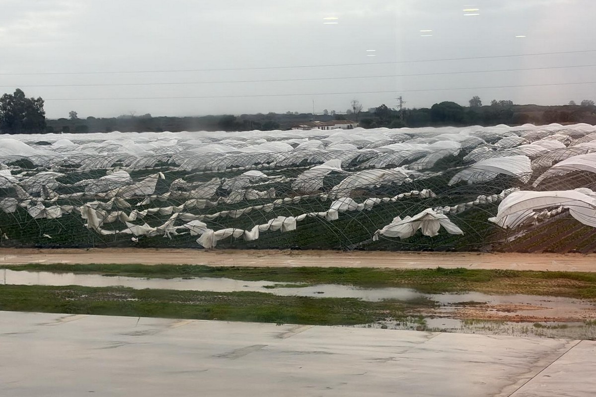Miljoenenschade in Andalusië door stormen; langdurige gevolgen voor AGF-sector