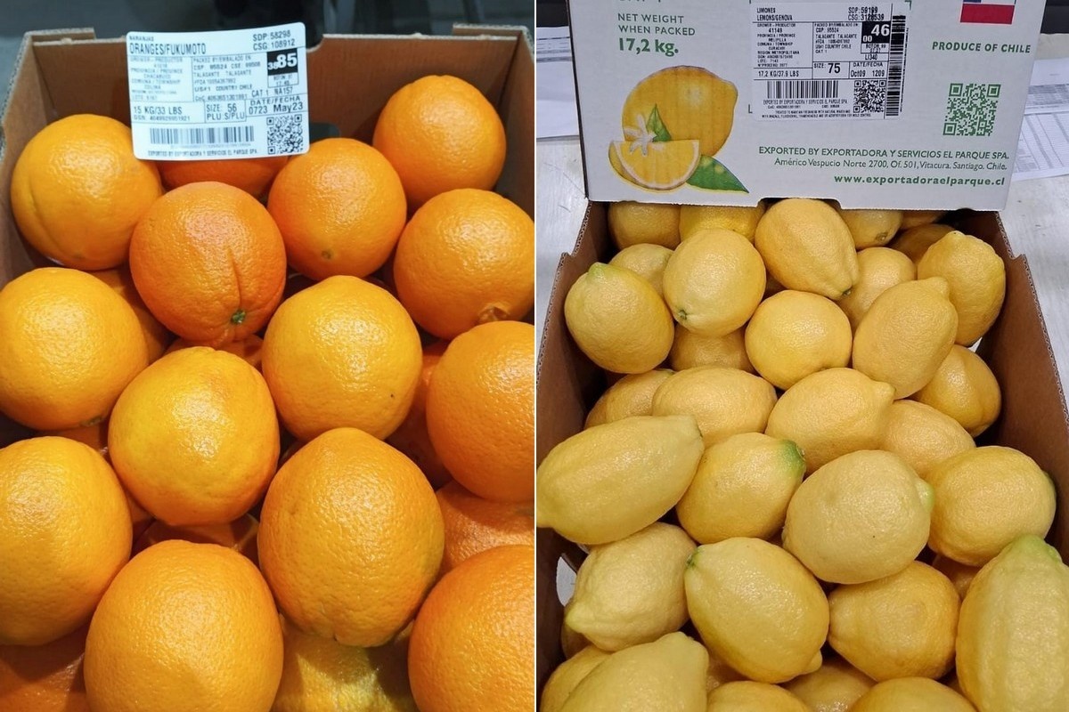 Europa biedt ruimte voor Chileense citroenen