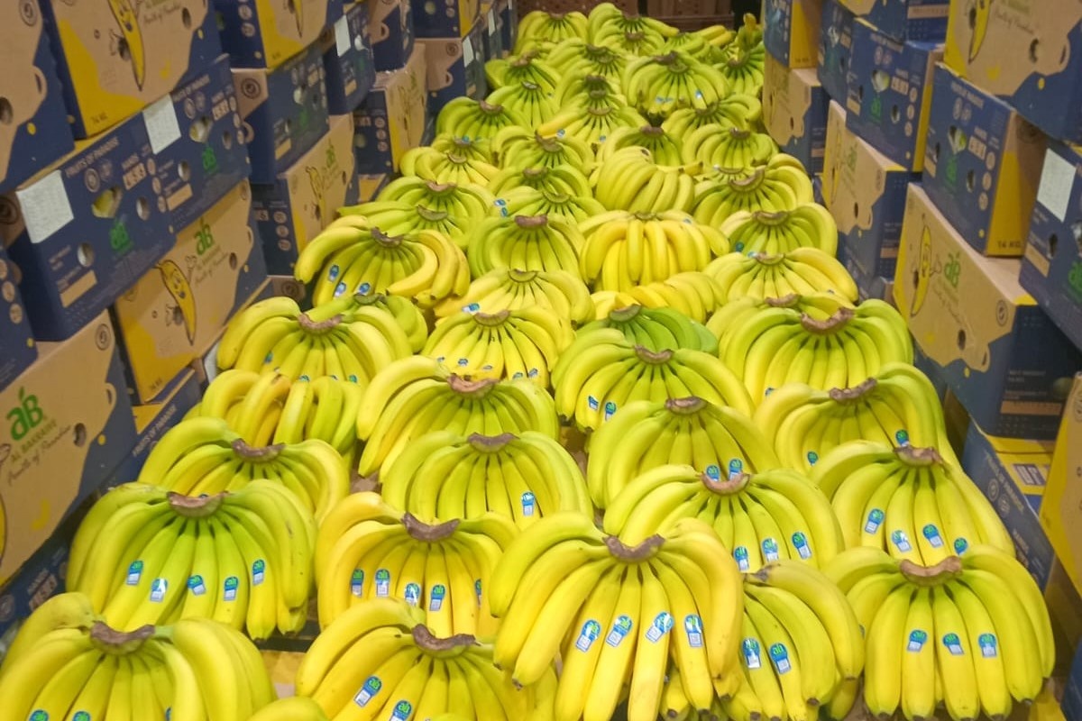 Hogere productie en prijzen na stroeve jaarstart voor Ecuadoraanse bananen