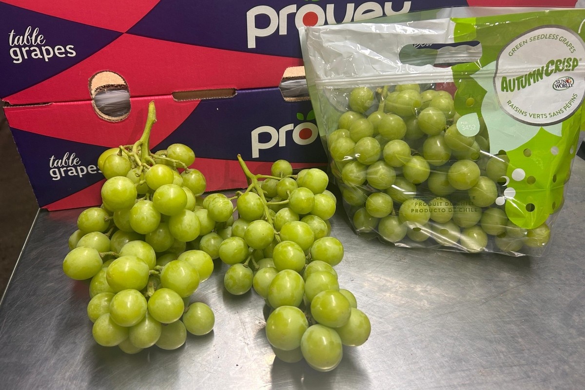 Chileense druiven: kleinere oogst, krappe markt en sterke vraag naar witte rassen