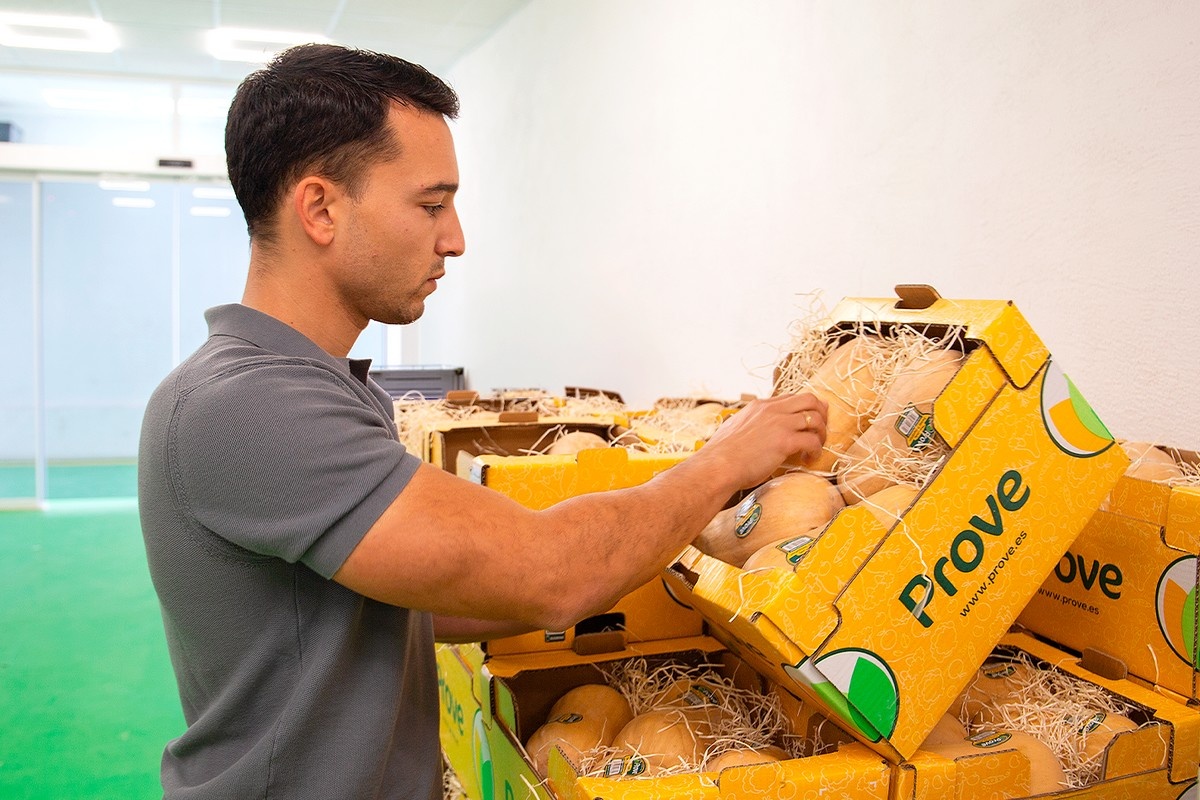 Flespompoen wint snel terrein in Europa