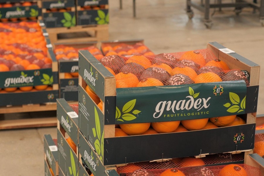 "De vraag naar sinaasappelen ligt dit seizoen boven het aanbod"