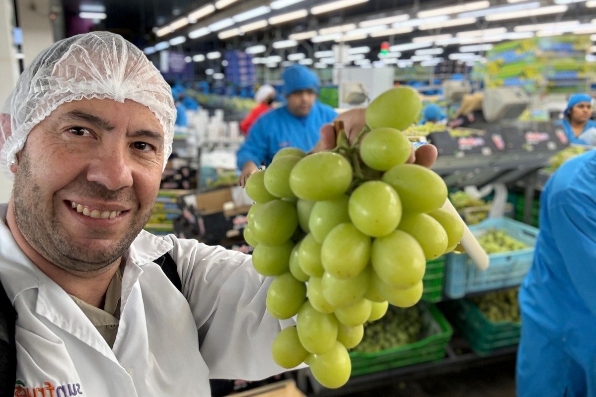 "Het is een voorspelbaar en relatief eenvoudig seizoen geweest voor de Peruaanse druivenexport"