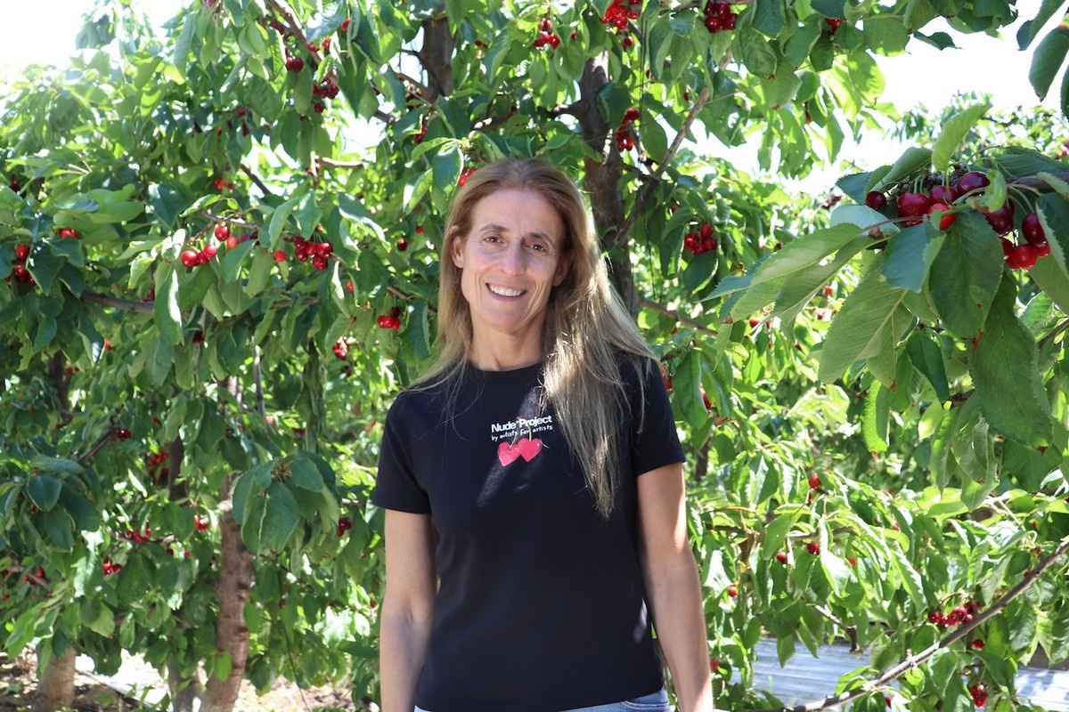 Сезон черешни в Чили: объёмы ниже, логистика сложнее