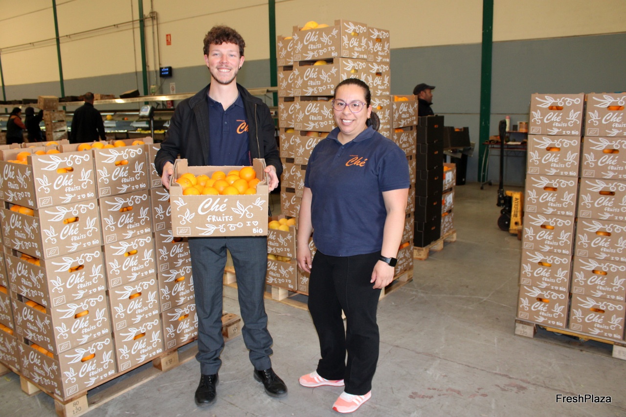 Biologisch citrus verliest onderscheidend vermogen nu prijsverschil met conventioneel slinkt