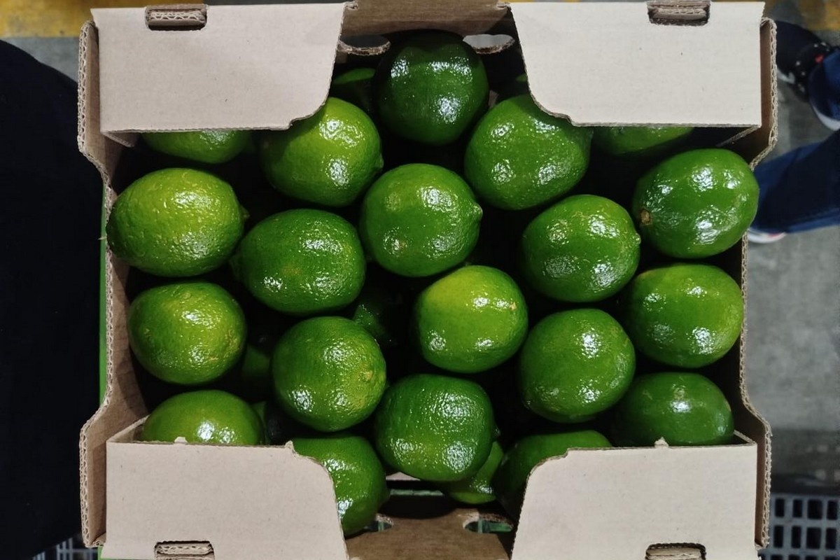 Biologische lime levert tot 60% meer op: Colombia ziet kansen in nichemarkt