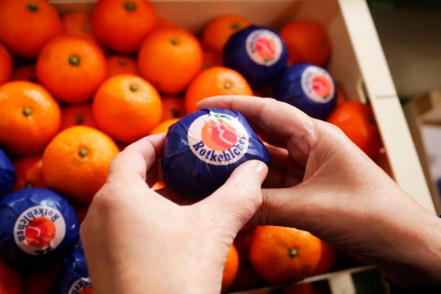 Группа Clasol интегрировала кооператив Cofru