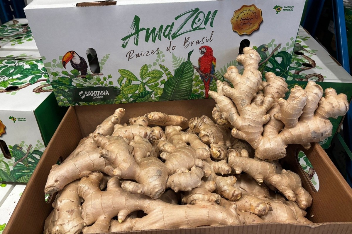 Китай занял Европу: бразильский имбирь пока отсутствует