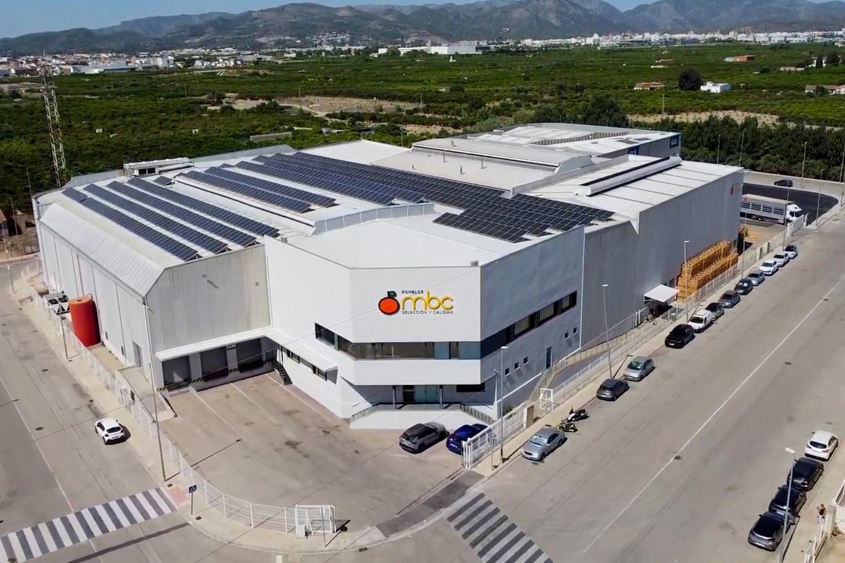 Потребление грейпфрута снизилось, но оборот вырос на 25%