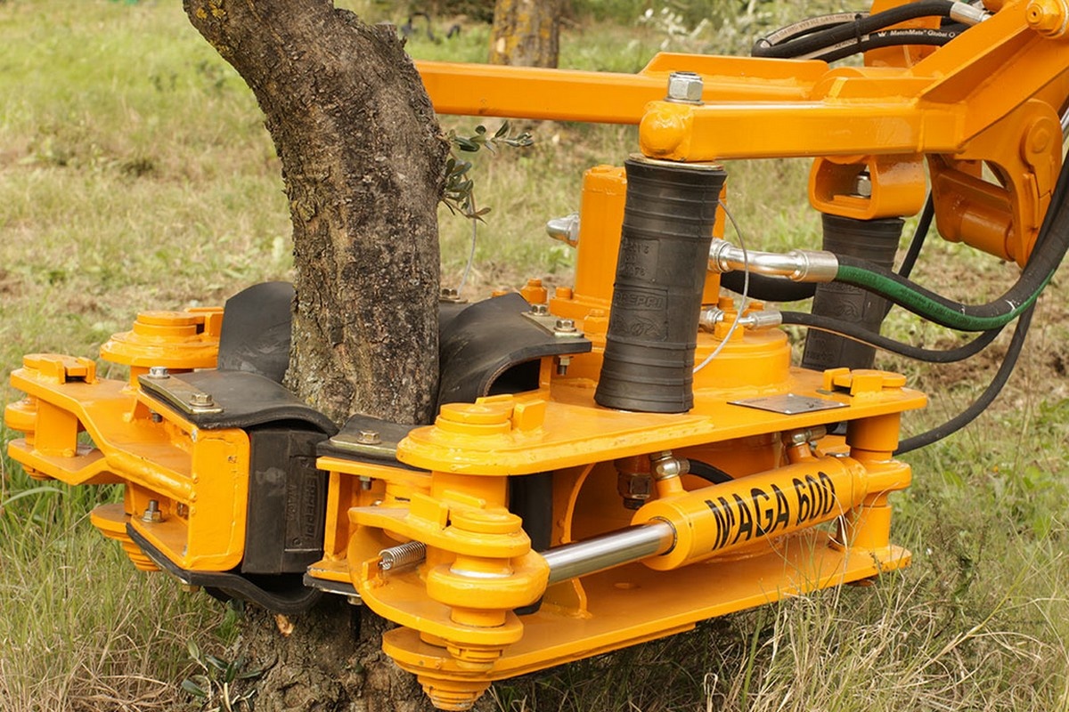 Nut boom drives harvest mechanization in Chile