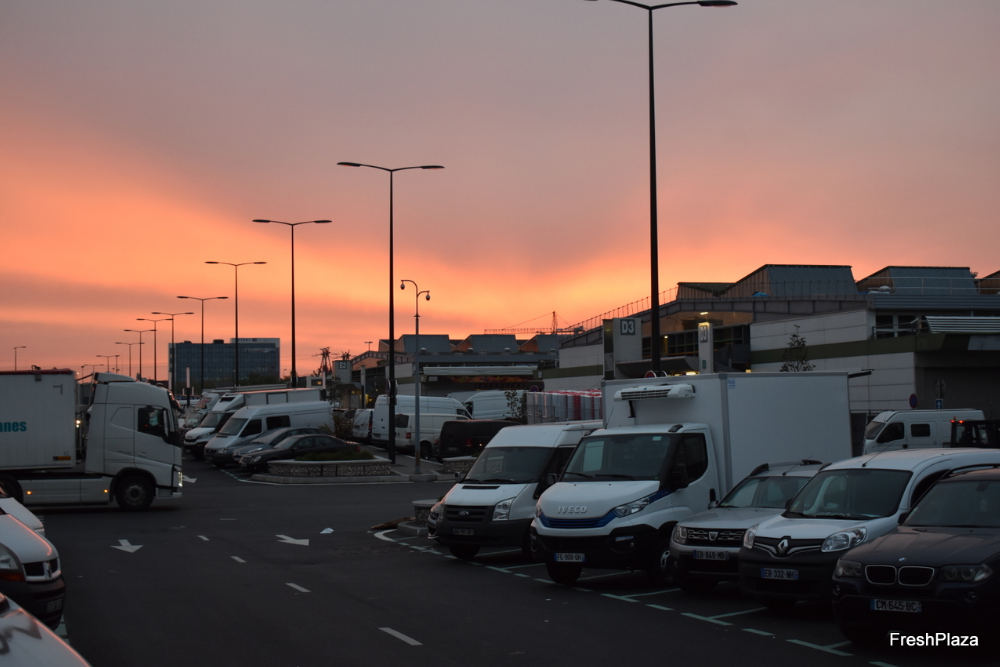 Reportage Photo : Au cœur de Rungis