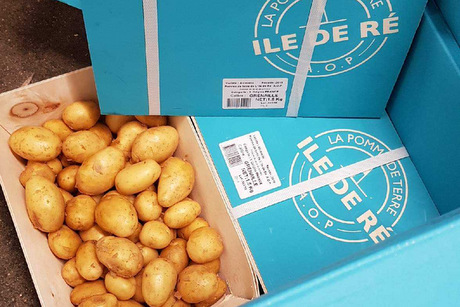 La Rose Anne Une Nouvelle Variete De Petites Pommes De Terre