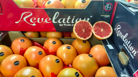 translate grapefruit to spanish