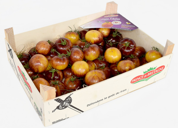 La tomate cerise grappe  Fruits Prince de Bretagne