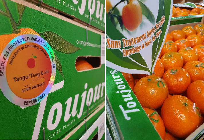 "Complicated transition period for the citrus fruit" - Vimarsana News