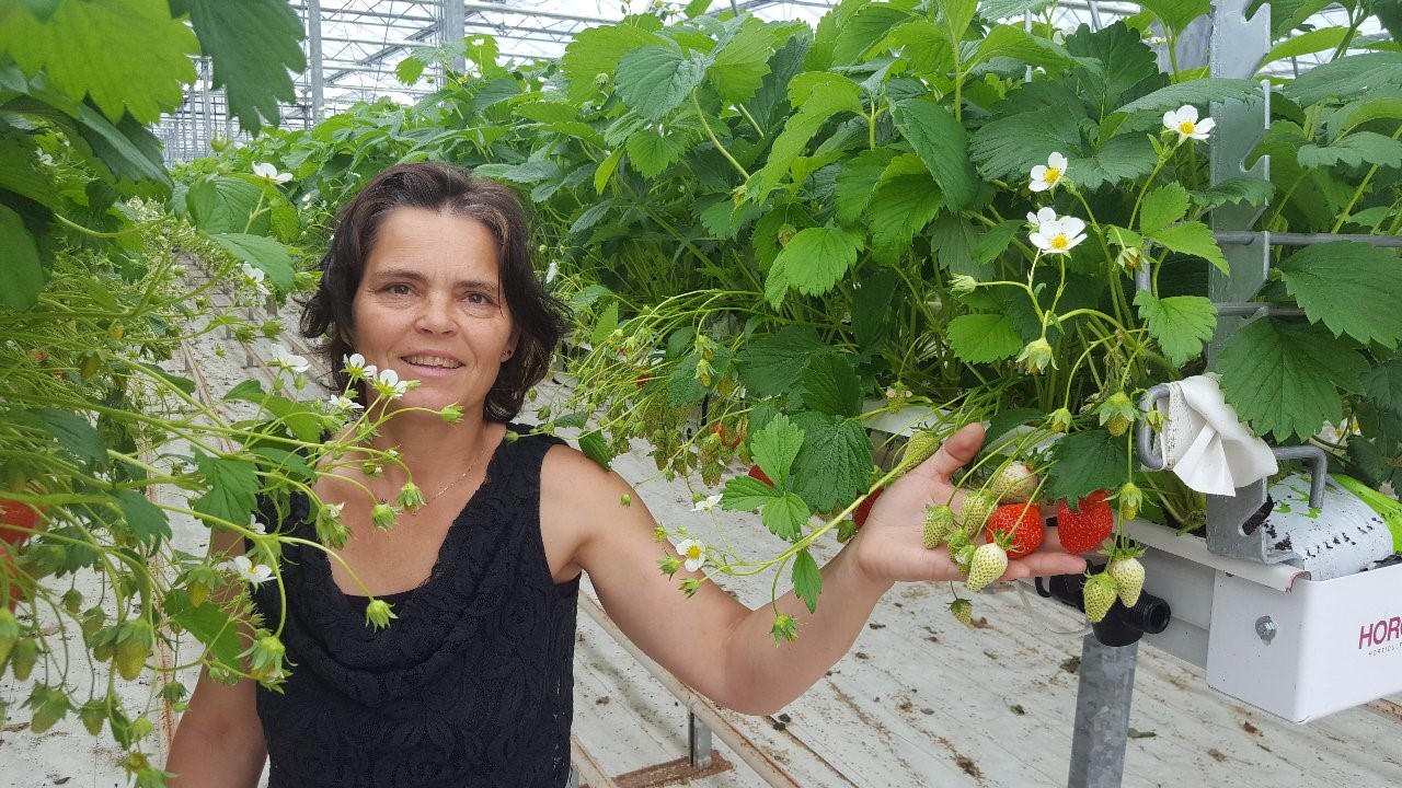 Solarenn Launch Of The Strawberry Season For Delphine Diot
