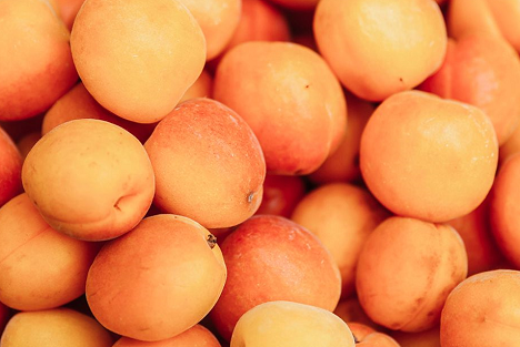 France: FNPFruits "calls on producers to think about the culture of risk" - Vimarsana News