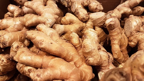 French ginger production makes a timid debut - Vimarsana News