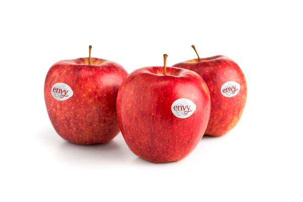 envy apple USA price - Arad Branding