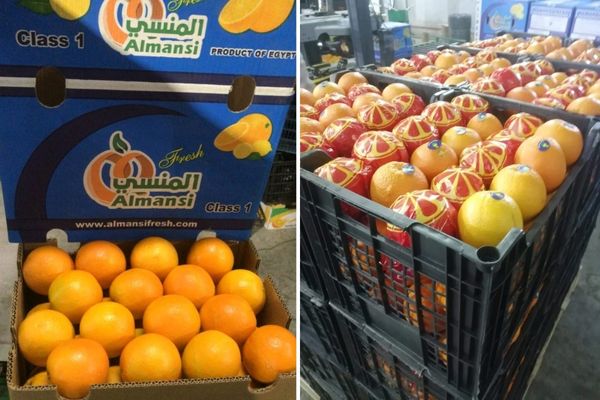 Vraag naar Egyptische sinaasappels zakt onverwacht weg