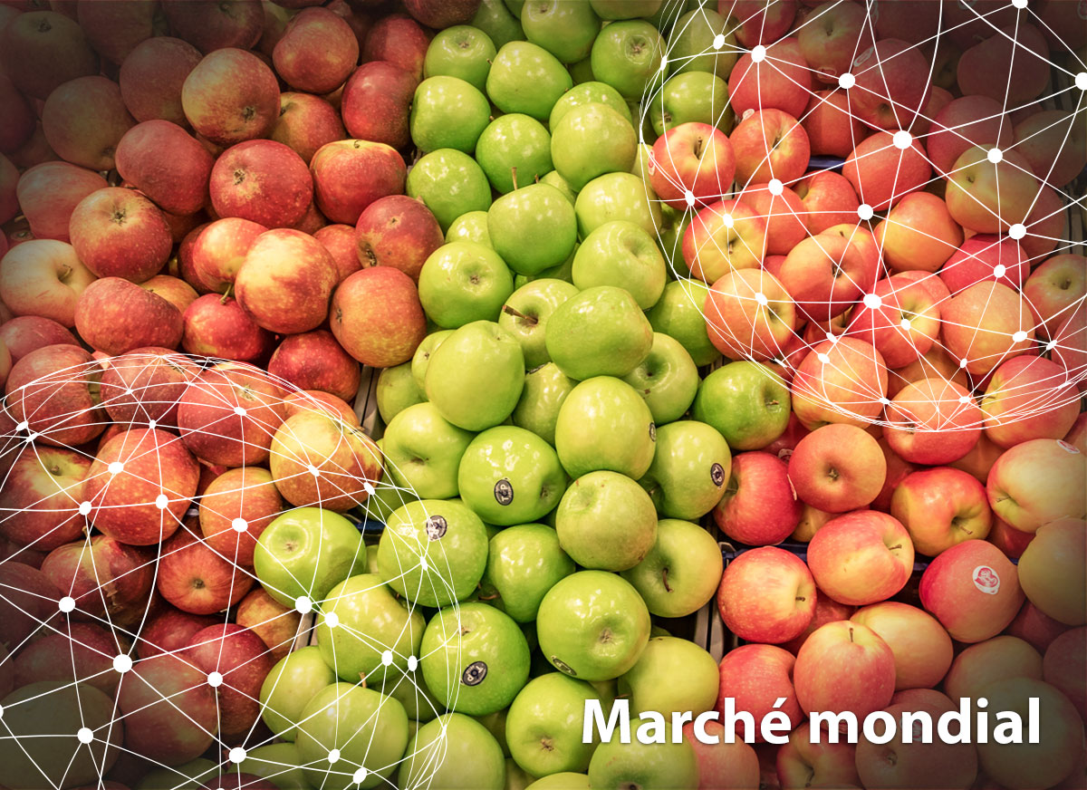 Marché mondial : la pomme
