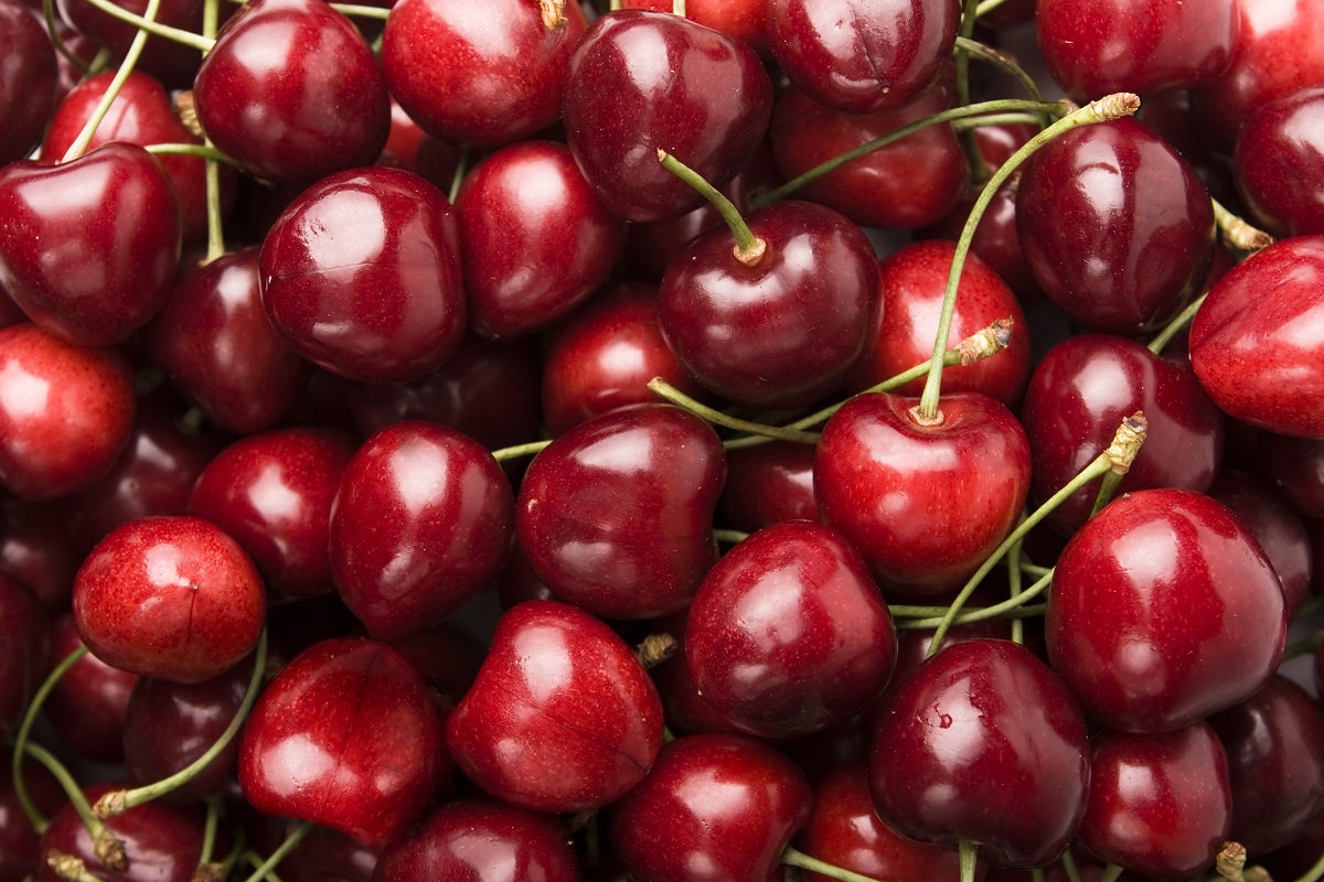 Cerise : une production en hausse de 10 % en 2024
