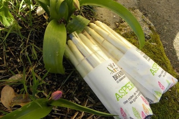 Stabiele prijzen Bretoense asperges konden oogsttekort niet compenseren