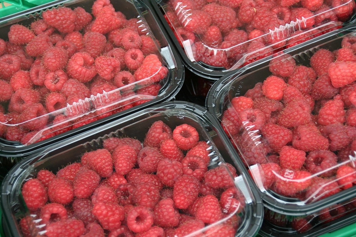 French raspberry production up by 4% this year