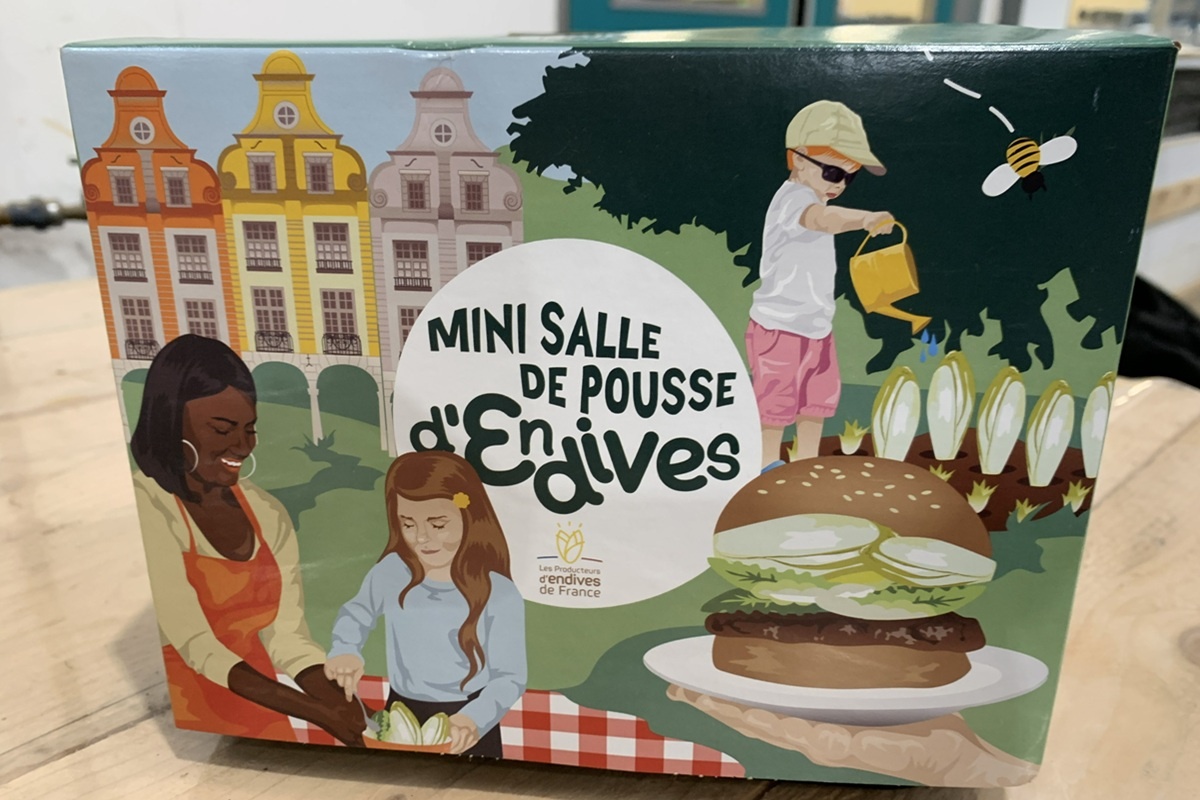 Witlof op het lesrooster: Franse telers mikken op jonge consumenten