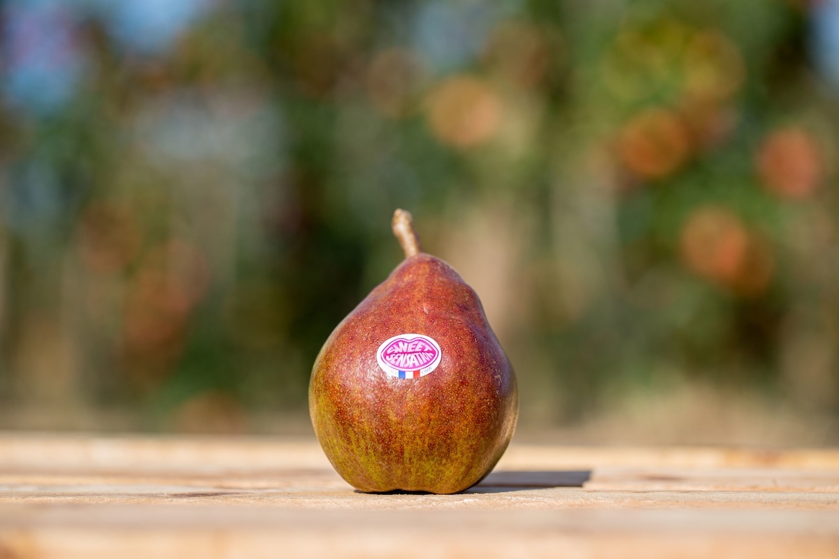 Vlotte afzet Sweet Sensation en Abate in Frankrijk