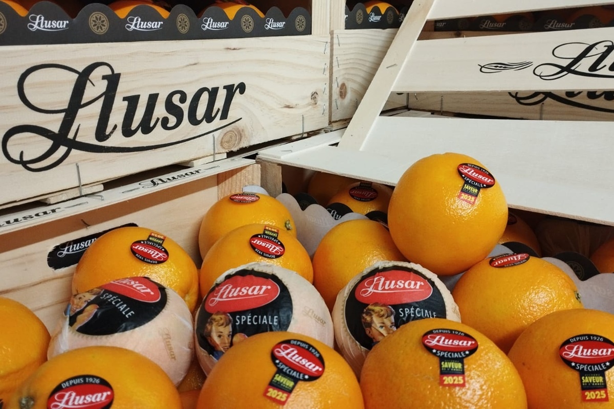 Franse citrusmarkt onder druk: kwaliteit troef, maar aanbod beperkt