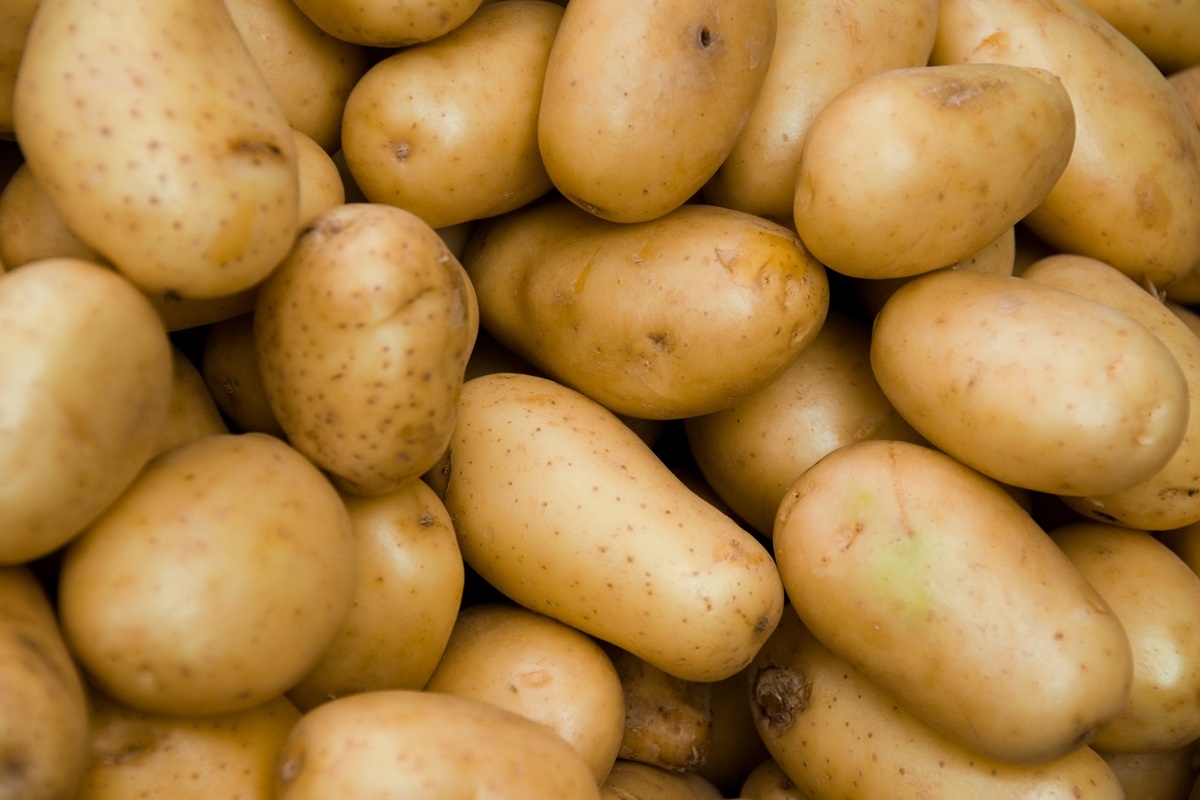 Luc Chatelain nieuwe voorzitter voor Franse aardappelcomité CNIPT