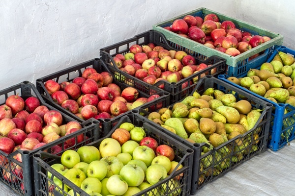 Meer appelen en peren in Franse bewaring, meer export