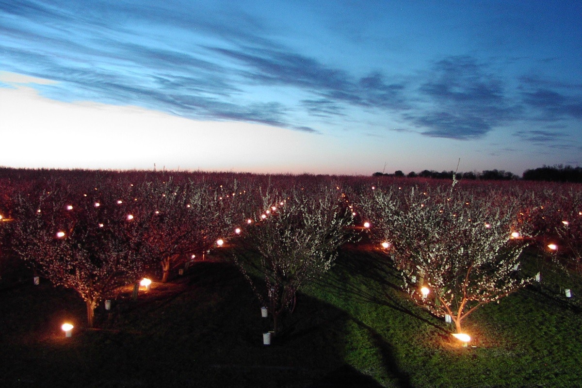 Gelijkmatige, langdurige warmteverdeling met anti-vorstkaarsen